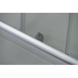 Dveře do niky TREOS