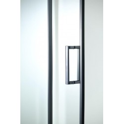 Dveře do niky TREOS NEW BLACK