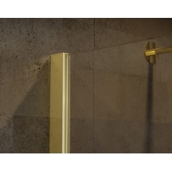 Walk-in bezdveřový a bezbariérový sprchový kout ECO-N GOLD