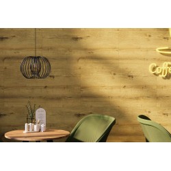 SPC nástenný obklad vnútorné - Oak Titan