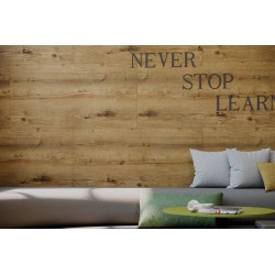 SPC nástenný obklad vnútorné - Oak Tarvos